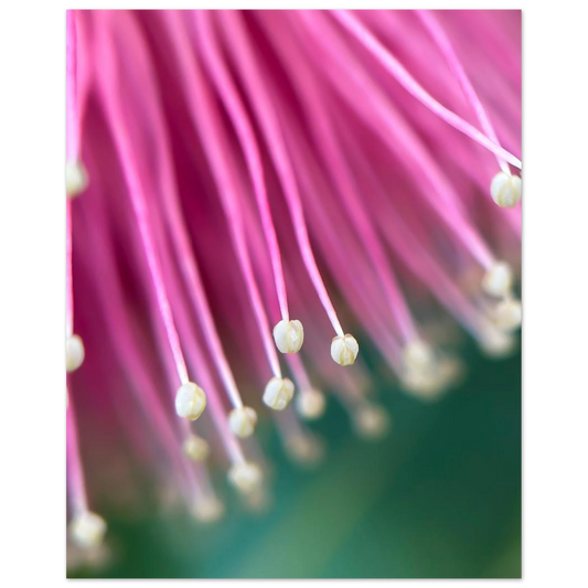 bcc765d3-0e50-4a14-9380-9c1f3d731cc6